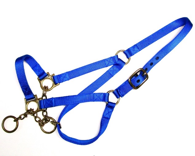 Cattle Control Halter by Amish — Loomis Tack Supply
